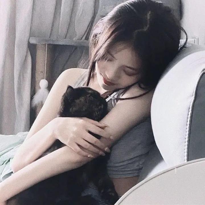 红尘 热播榜单