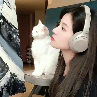 百合与直觉 热播榜单