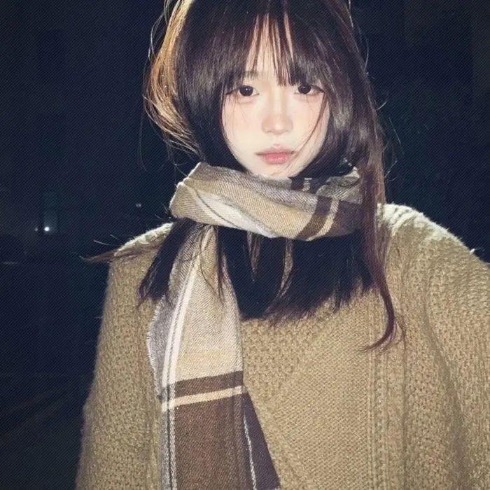 移民探戈 热播榜单